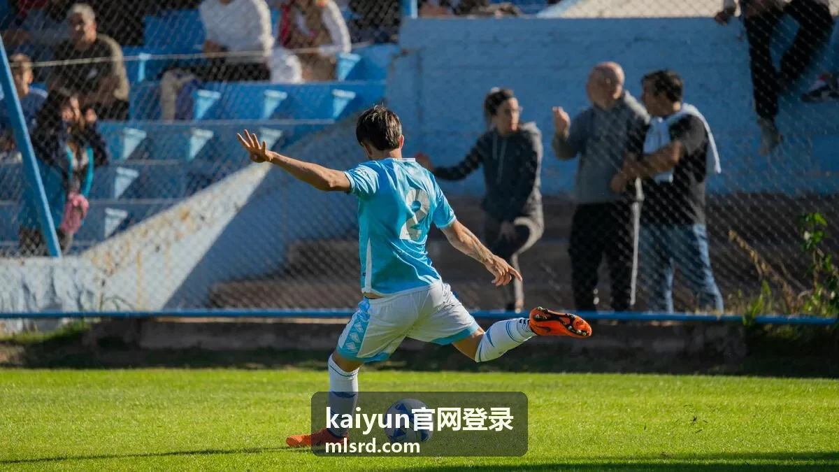 kaiyun官网登录入口页面操作示意